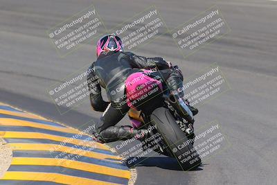 media/Nov-06-2022-SoCal Trackdays (Sun) [[208d2ccc26]]/Turn 10 Backside (1030am)/